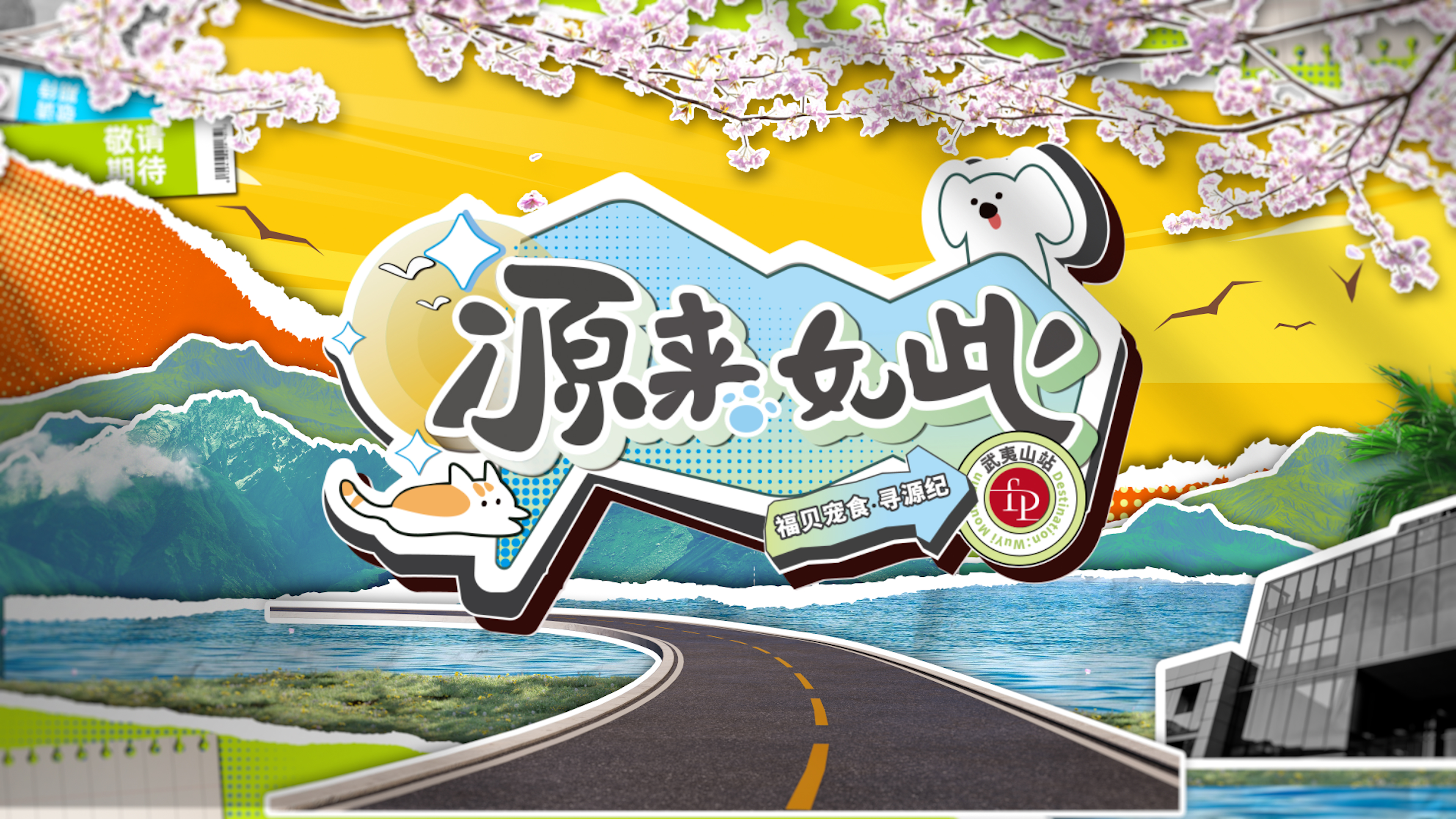 打破常規(guī)，用生動的方式傳遞價值——福貝寵食《尋源紀》微綜藝正式上線